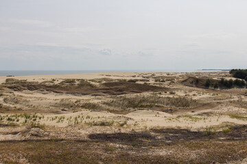 Fototapeta na wymiar Landscape scenery. Epha Height at Curonian Spit, Kaliningrad Oblast, Russia.
