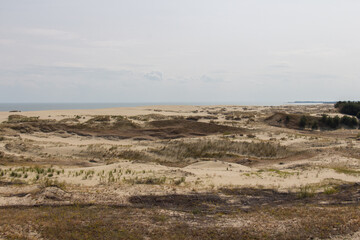 Landscape scenery. Epha Height at Curonian Spit, Kaliningrad Oblast, Russia.