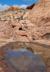 Red Rock canyon reflection in a pool after a rare rainstorm