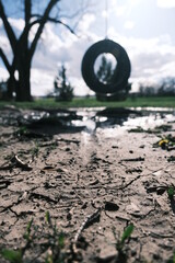 tracks in the mud
