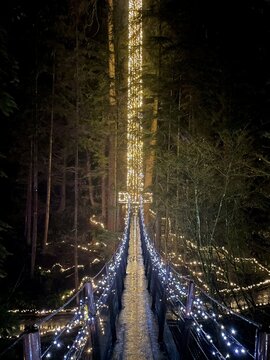 Bridge Light At Capilano Suspension Bridge Park