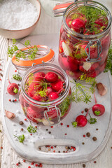 Homemade pickled radishes with garlic, allspice and dill.
