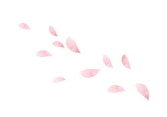 手描き水彩の桜の花びら