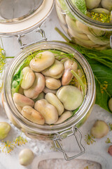 Homemade pickled broad bean with garlic, horseradish and dill.