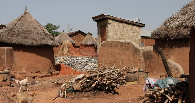 Gambaga village poverty mud homes animals Ghana. Northern region. Rural traditional mud and straw huts and buildings. Poverty economy. African tribal and native homes.