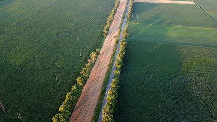 Drone flying over road between green agricultural fields during dawn sunset.