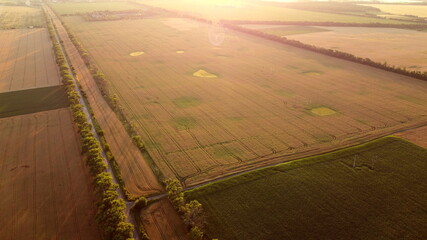 Drone flying over road between wheat fields during dawn sunset