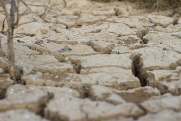 Closeup detail of dry cracked lakebed