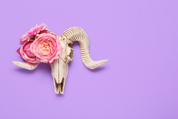 Skull of sheep with flowers on color background