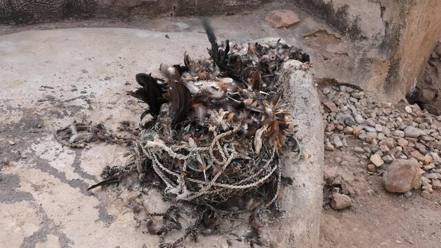 Tongo Hills Tengzug Shrines sacrifice altar feathers bones Ghana. Hideout for slaves evading their captors. Traditionally for religious animal sacrifices. Tourists religious pilgrims.