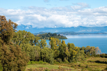 Fototapeta na wymiar landscape with trees