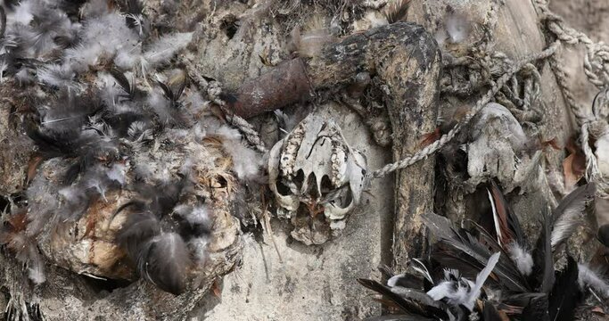 Tongo Hills Tengzug Shrines sacrifice altars feathers bones skulls Ghana. Hideout for slaves evading their captors. Traditionally for religious animal sacrifices. Tourists religious pilgrims.
