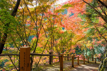 Kyoto, Japan - Autumn leaf color at Yoshiminedera Temple in Kyoto, Japan. The Temple originally built in 1029.