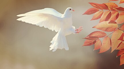white dove with red leaves