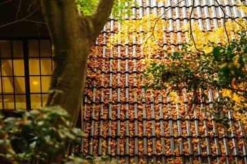 Fotobehang Fall leaves stacked on top of a Japanese-style building © Eunkyung
