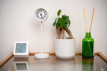 観葉植物と小さなインテリア時計（公園の時計台）