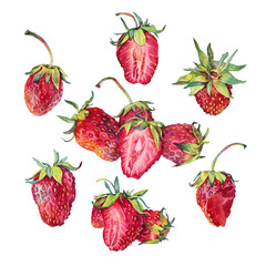 Set watercolor strawberry with green leaves isolated on white background. Hand-drawn sweet summer slice berries food for kitchen. Red fruit dessert for menu. Clipart for sticker, cookbook, card