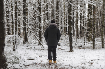 person walking in winter forest