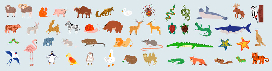 Obraz na płótnie Canvas A large set of wild jungle, savanna and forest animals, birds, marine mammals, fish and insects. A set of cute cartoon characters in a flat style, isolated on a white background. vector illustration