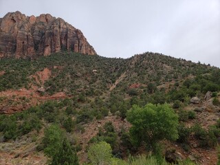 zion national park
