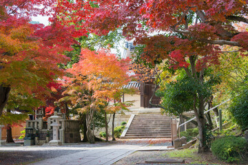 Kyoto, Japan -  Autumn leaf color at Komyoji Temple in Nagaokakyo, Kyoto, Japan. The Temple originally built in 1198.