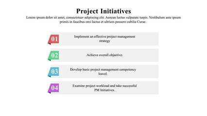 Infographic presentation template of project initiatives.