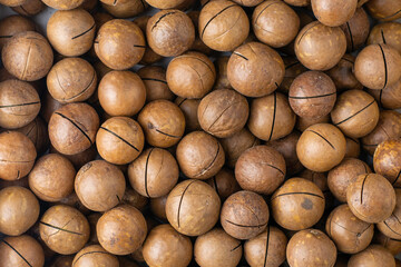 macadamia nuts with saws for splitting background backdrop