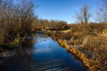 Flooded walking trail in rural park on a sunny winter day, wood bridge in the background
