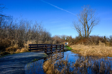 Walking trail in rural park on a sunny winter day, wood bridge across river overflowing its banks
