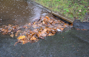Rainwater flooding down a residential street carrying dirt, leaves and other debris, and flowing...