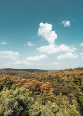 Naklejka premium landscape with mountains