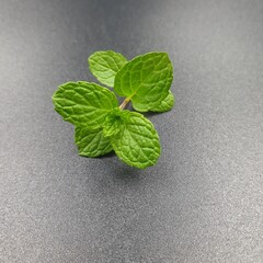 Fresh mint pepermint leaves,herbal medicine peppermint