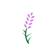 lavender icon vector design templates
