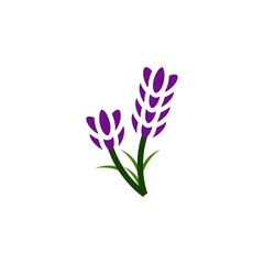 lavender icon vector design templates - obrazy, fototapety, plakaty