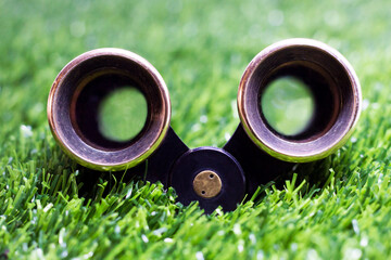 Retro theatrical binoculars on the grass in the park - obrazy, fototapety, plakaty