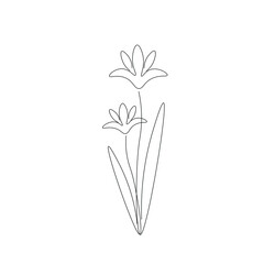 Obraz premium Flowers on white background vector illustration