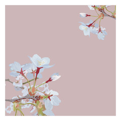 봄에피는 예쁜 분홍 벚꽃