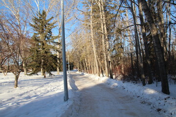 January On The Trail, Gold Bar Park, Edmonton, Alberta
