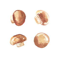 水彩で描いたマッシュルームのイラスト