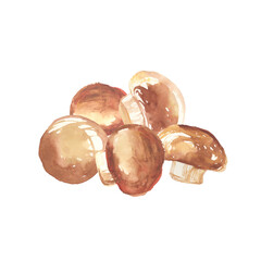 水彩で描いたマッシュルームのイラスト