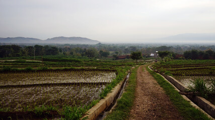 Fototapeta na wymiar Landscape view of indonesian village in the morning