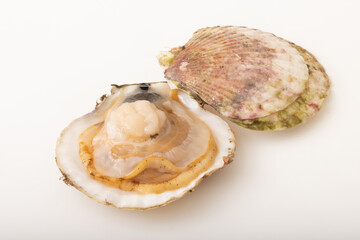 殻付きホタテ