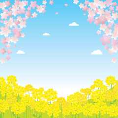 Fototapeta na wymiar 春の桜と菜の花の風景イラスト