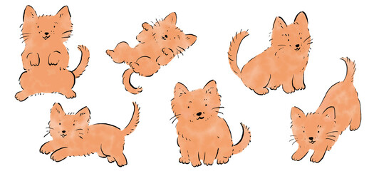 柴犬セット　ベクター