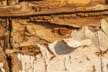 Old broken wooden wall, background and texture for design and 3d graphics, brown and white color. Blurred background