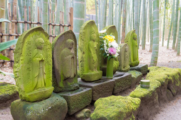 Kanagawa, Japan - Bamboo forest at Hokokuji Temple in Kamakura, Kanagawa, Japan. The temple was...