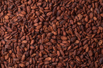 Pattern of cocoa beans in the sun. Photo above, background.	