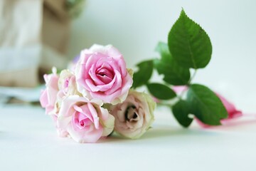 Bouquet of fresh roses, flowers on a light background, the concept of a romantic greeting, invitation, wedding, postcard, Valentine's Day or sale in a flower shop