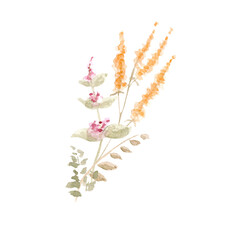 Delicate bouquet of wild flowers. Watercolor illustration for background.