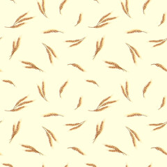 Wheat ears seamless pattern, hand drawn sketch background